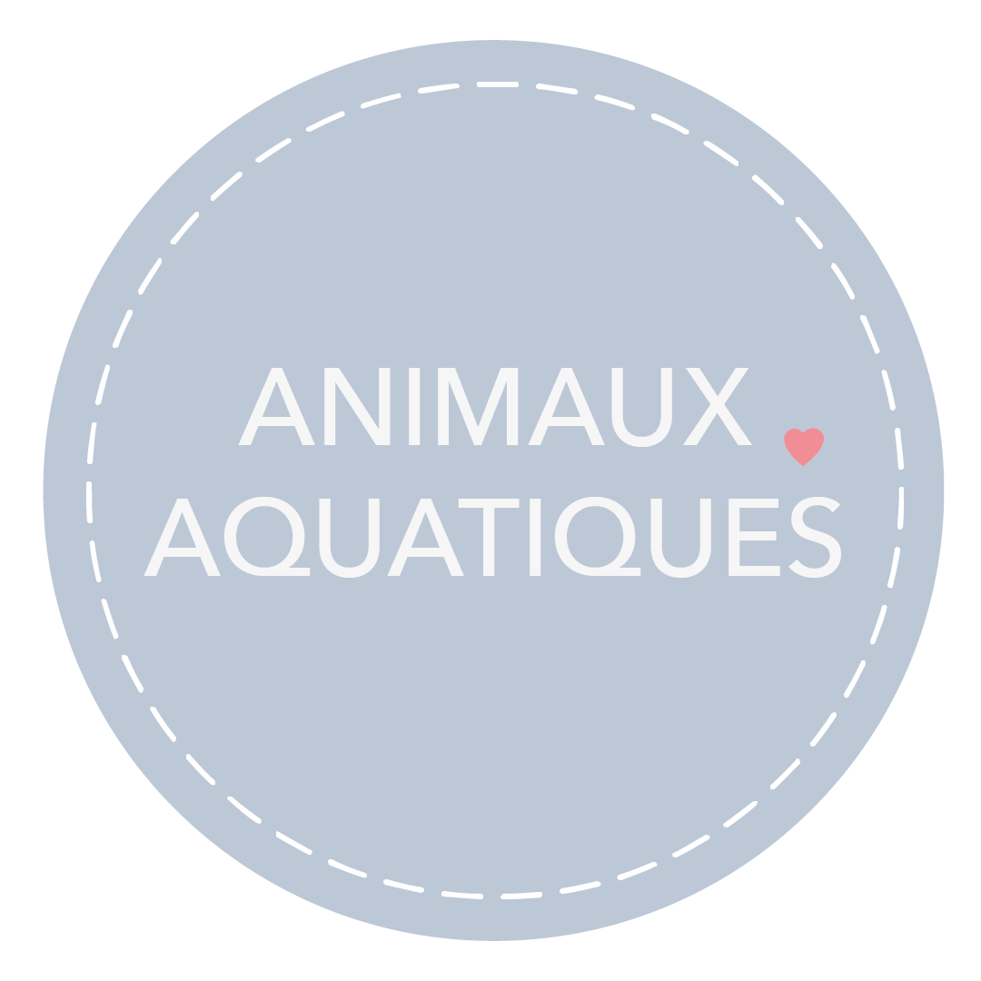 animaux-aquatiques